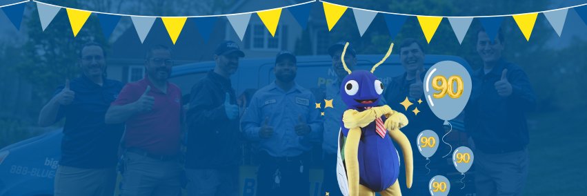 Big Blue Bug banner