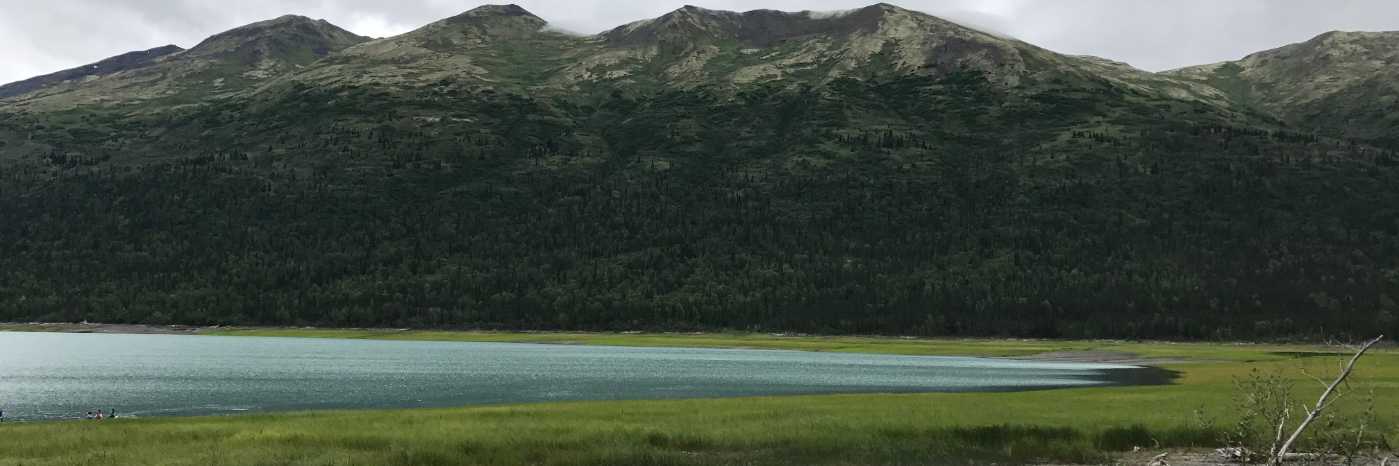BelkisM's profile banner image