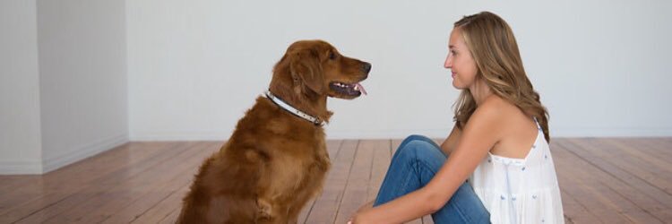 isabelldabbert's profile banner image