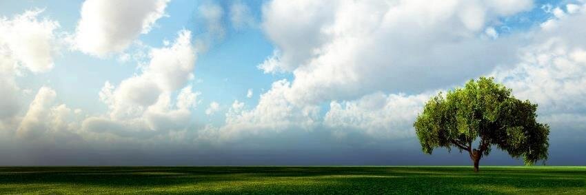 climateguide's profile banner image