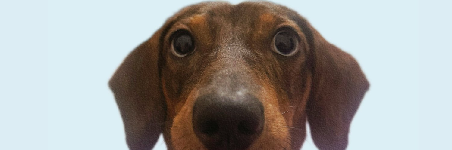 luizamucio's profile banner image