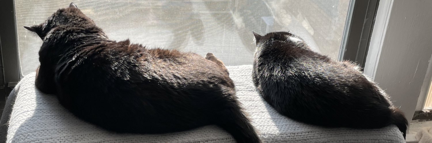 Jeremy, follow me on Bluesky: petsch6787 banner