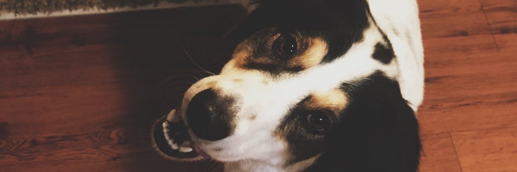 HQedan2's profile banner image