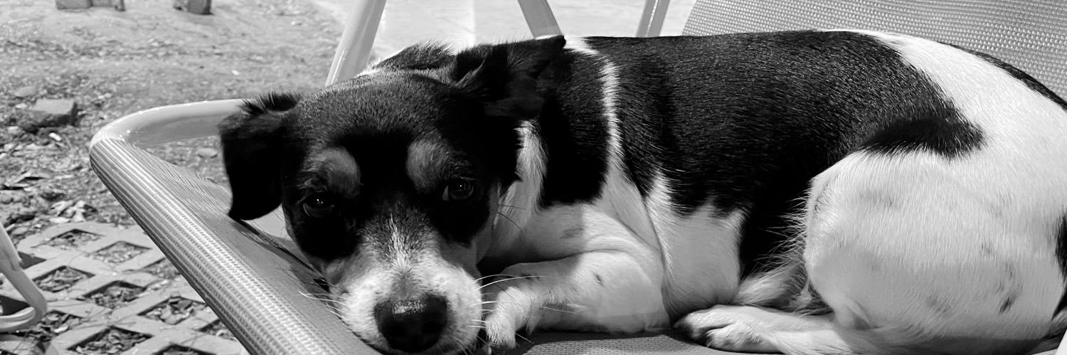 NaAlperin1's profile banner image