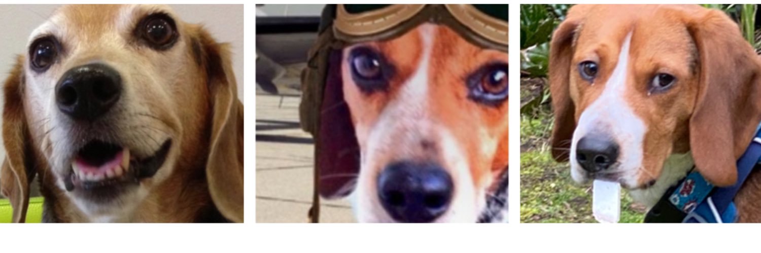 CPL Bixby, ZSHQ 🛵 banner