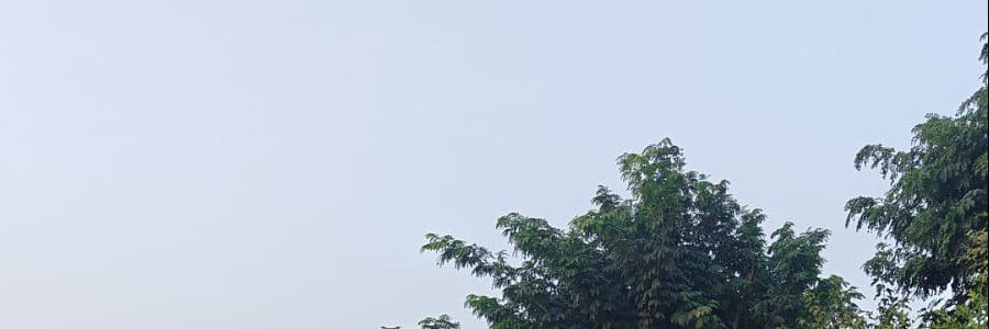SulkesiN's profile banner image