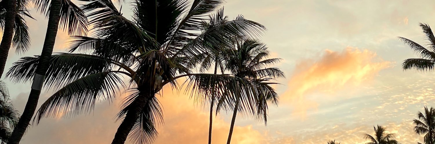 bhumpss's profile banner image