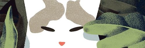 awkwardishannah's profile banner image