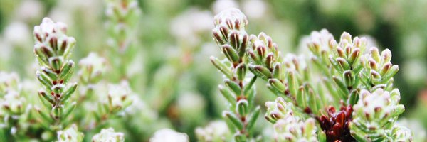 anitabagg Profile Banner