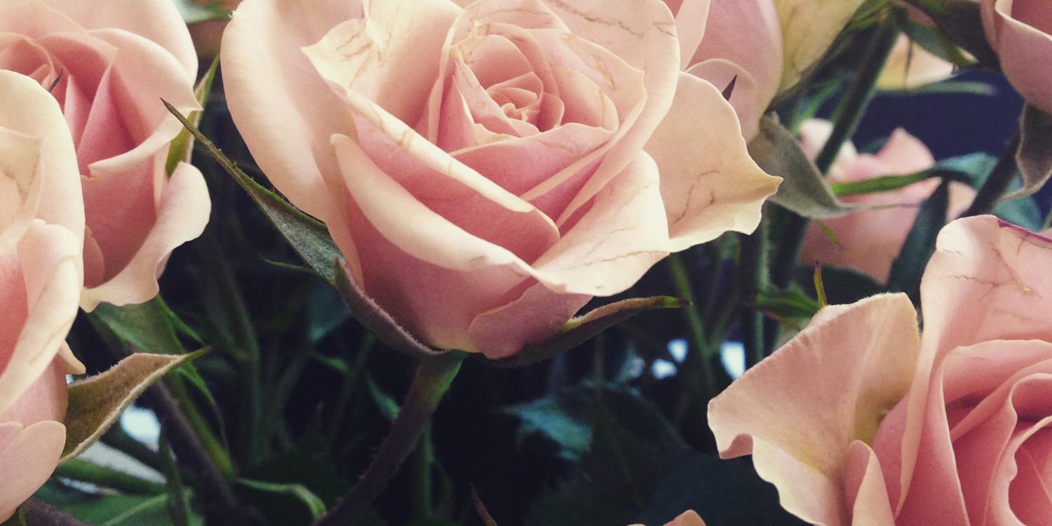 lesliesmith126's profile banner image