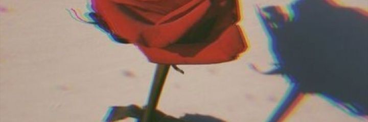 ajeng_ptr's profile banner image