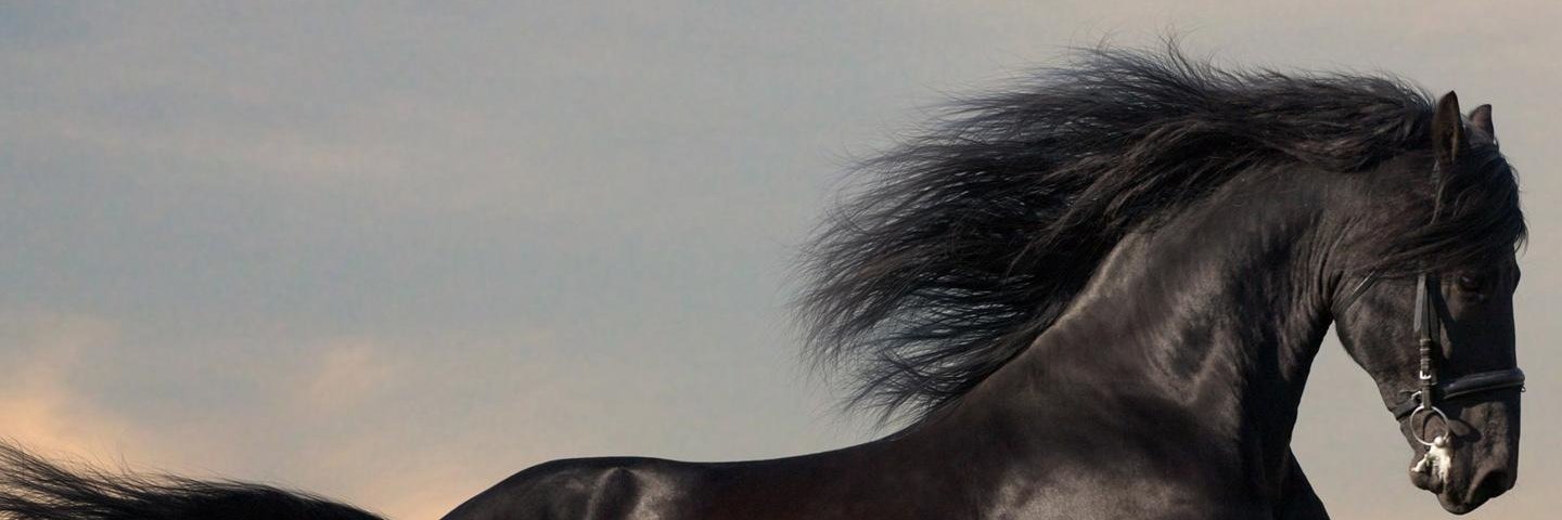 GusdaGBAIZ's profile banner image