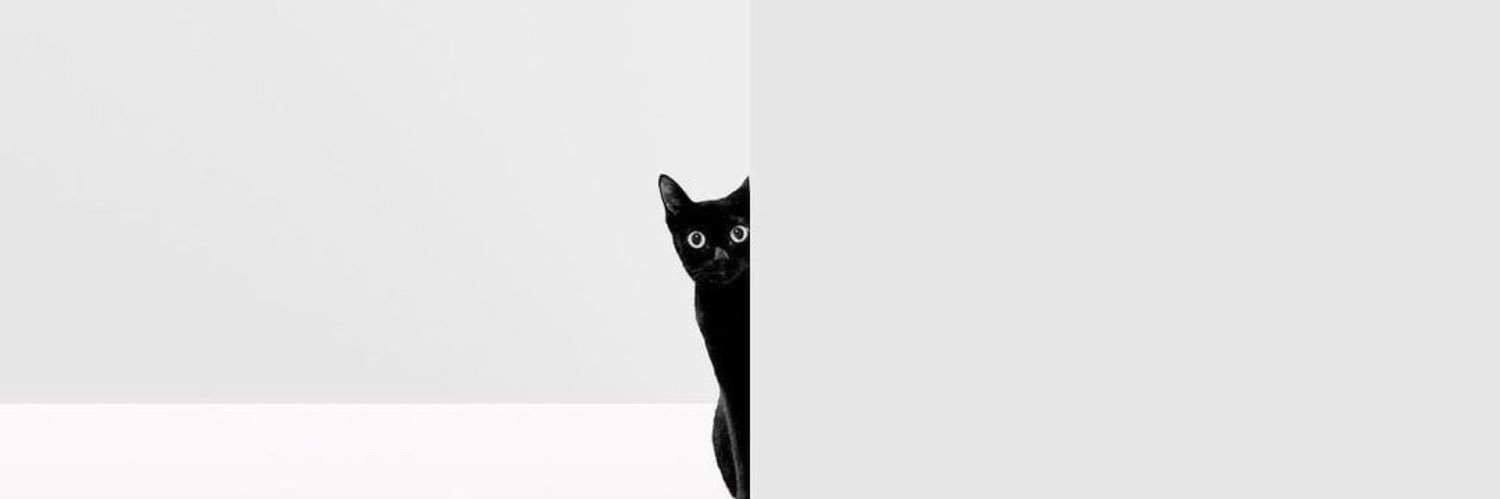 eris_erinyes's profile banner image