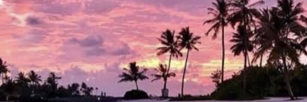 Roxanare's profile banner image