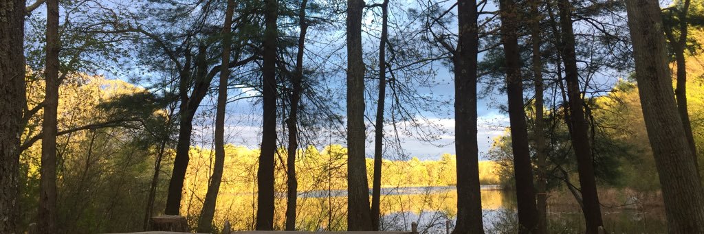 Melissa Brown banner