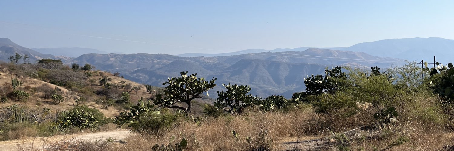 AvelarAlejandro's profile banner image