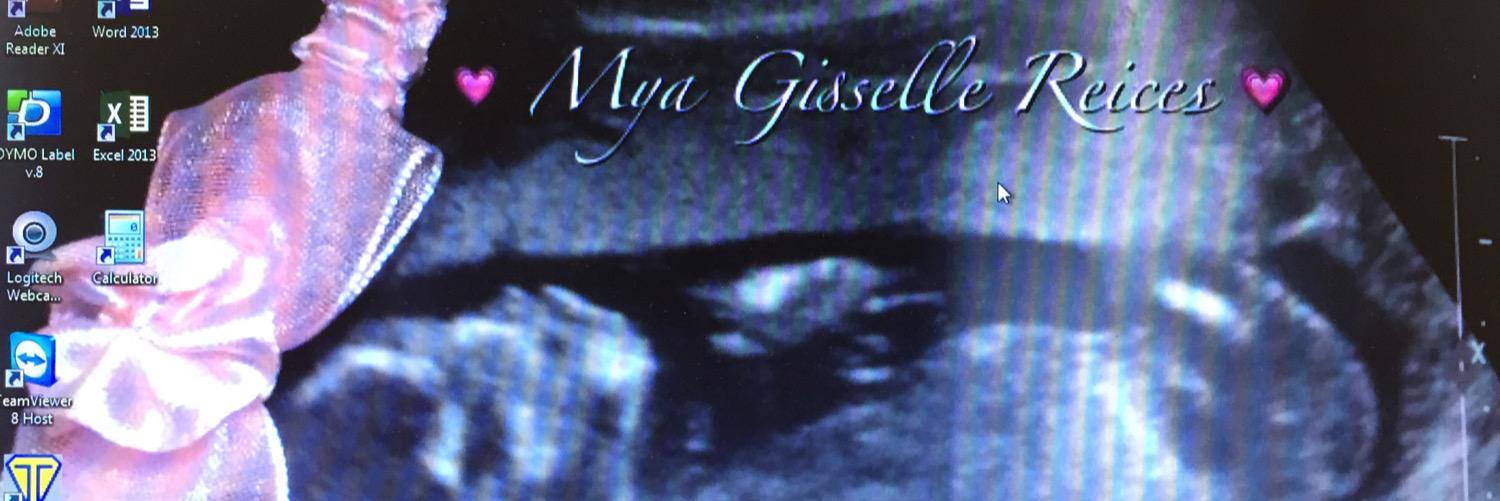 reicese's profile banner image