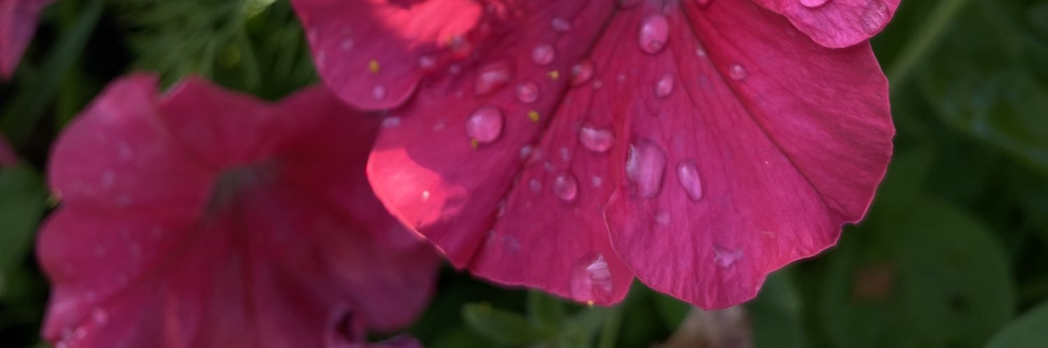 leraa_osipovaa's profile banner image