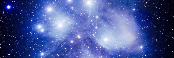 dodoburd123 Profile Banner