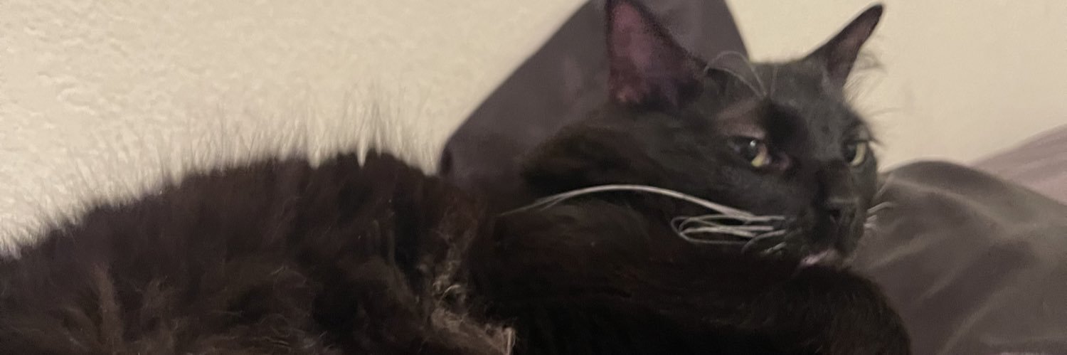 harvjess's profile banner image