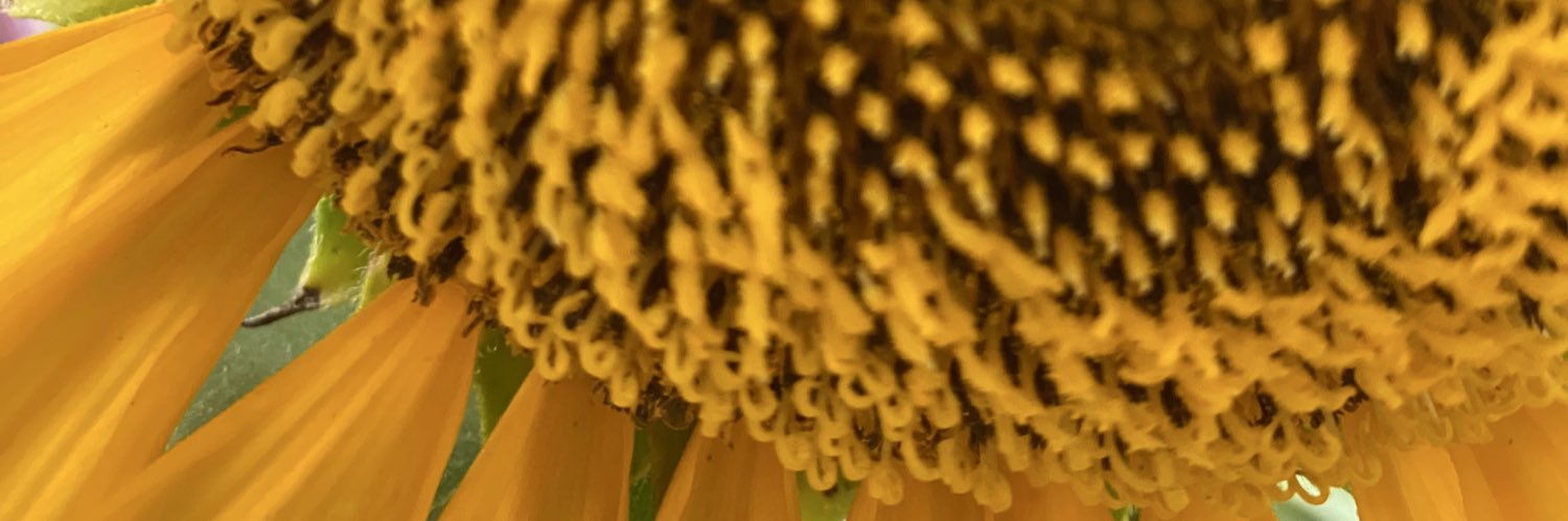 prayodian's profile banner image