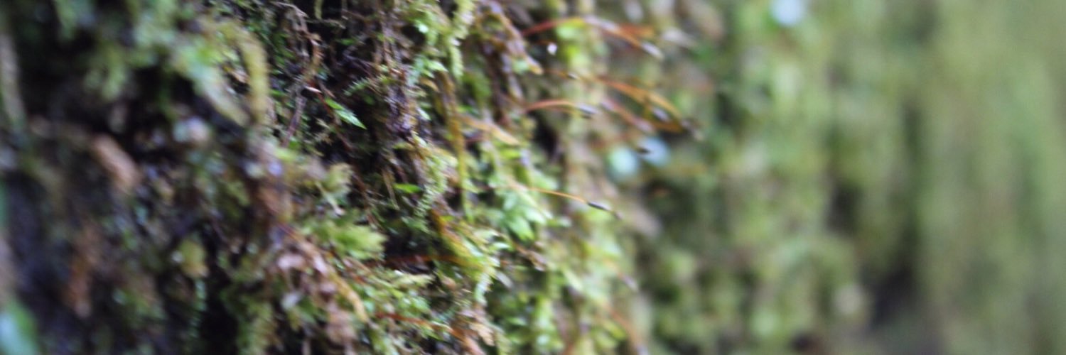 abem31's profile banner image