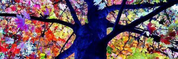 EstudianteG8's profile banner image