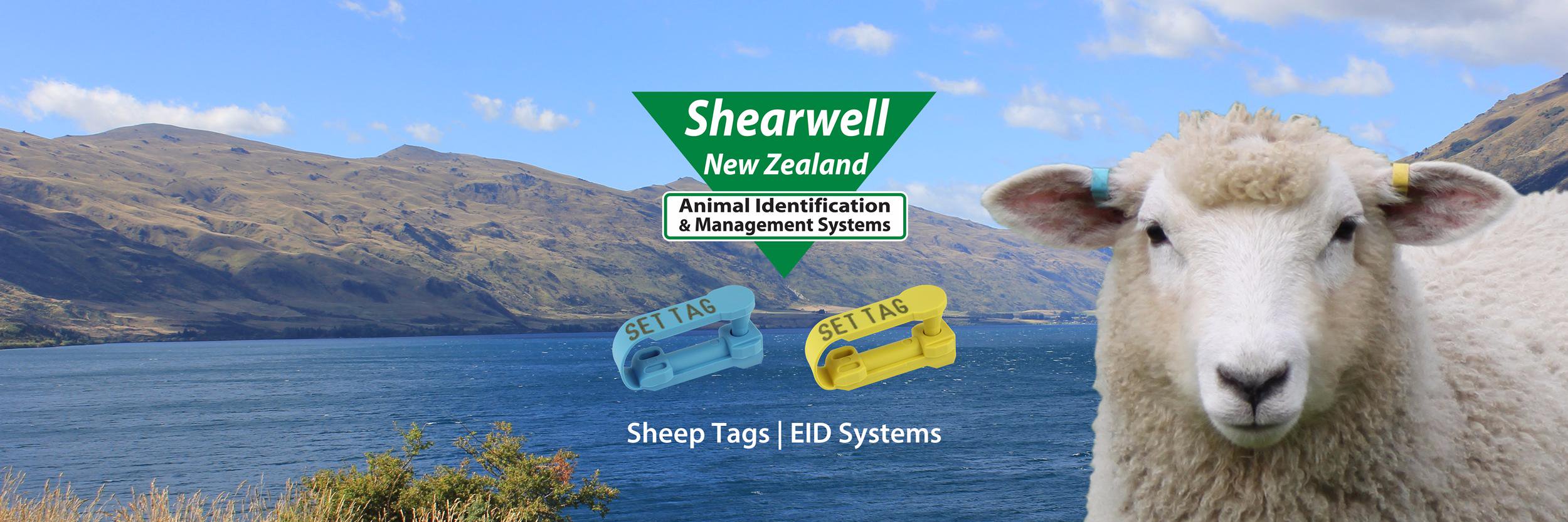 ShearwellNZ's profile banner image