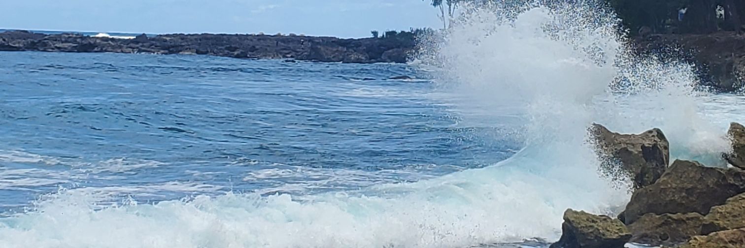 Jo'i Lives the HiLife banner