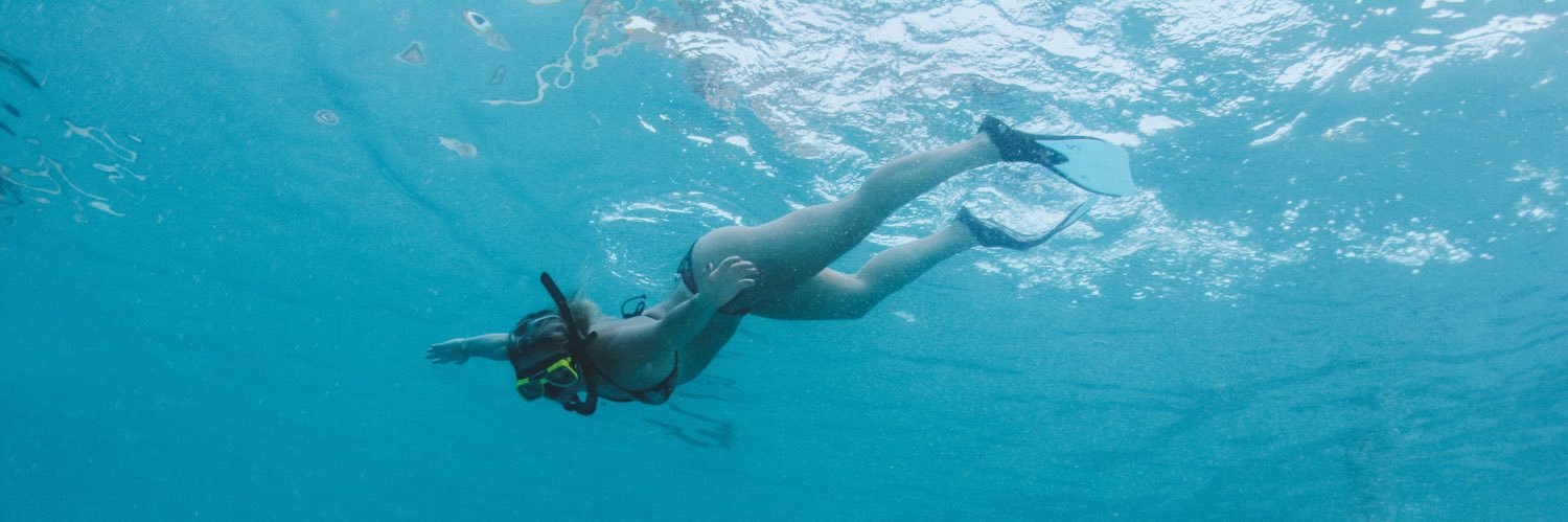 Victoria Baldesarra banner