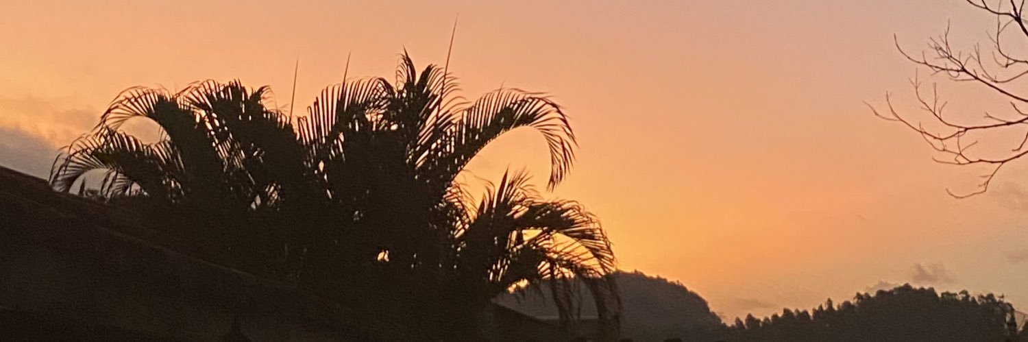 cdoratiotto's profile banner image