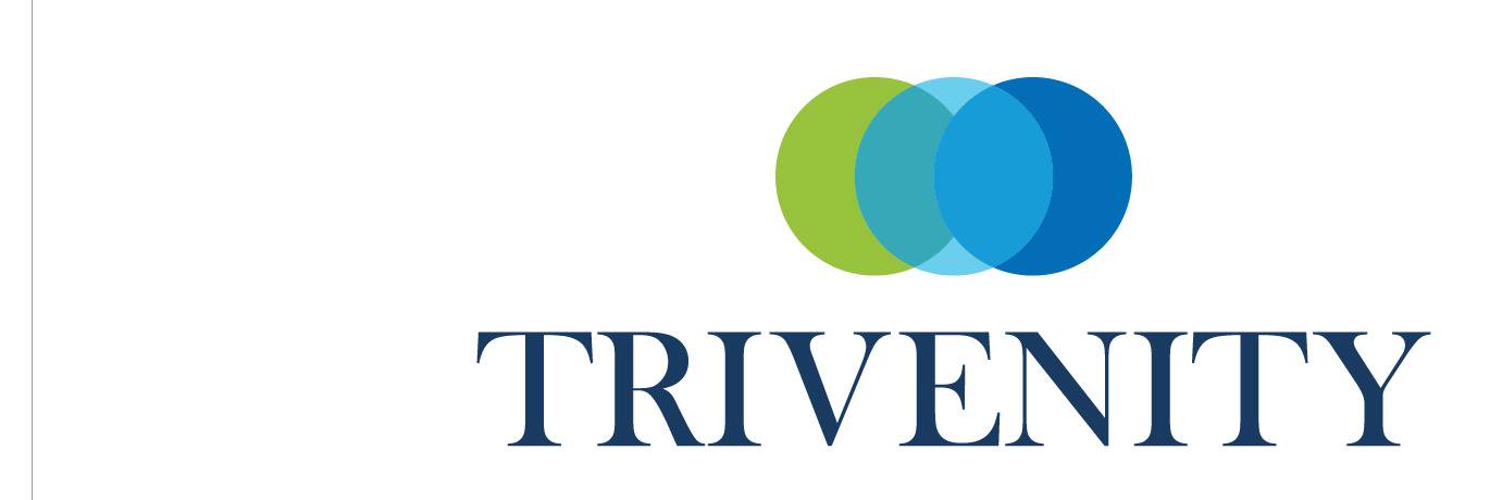 TrivenityCorporation banner