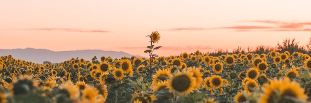 highhhmami's profile banner image