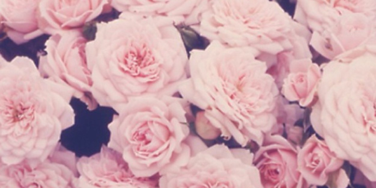 Zacherina's profile banner image