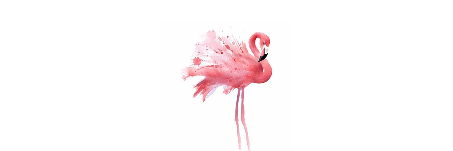 didi_stolarova's profile banner image