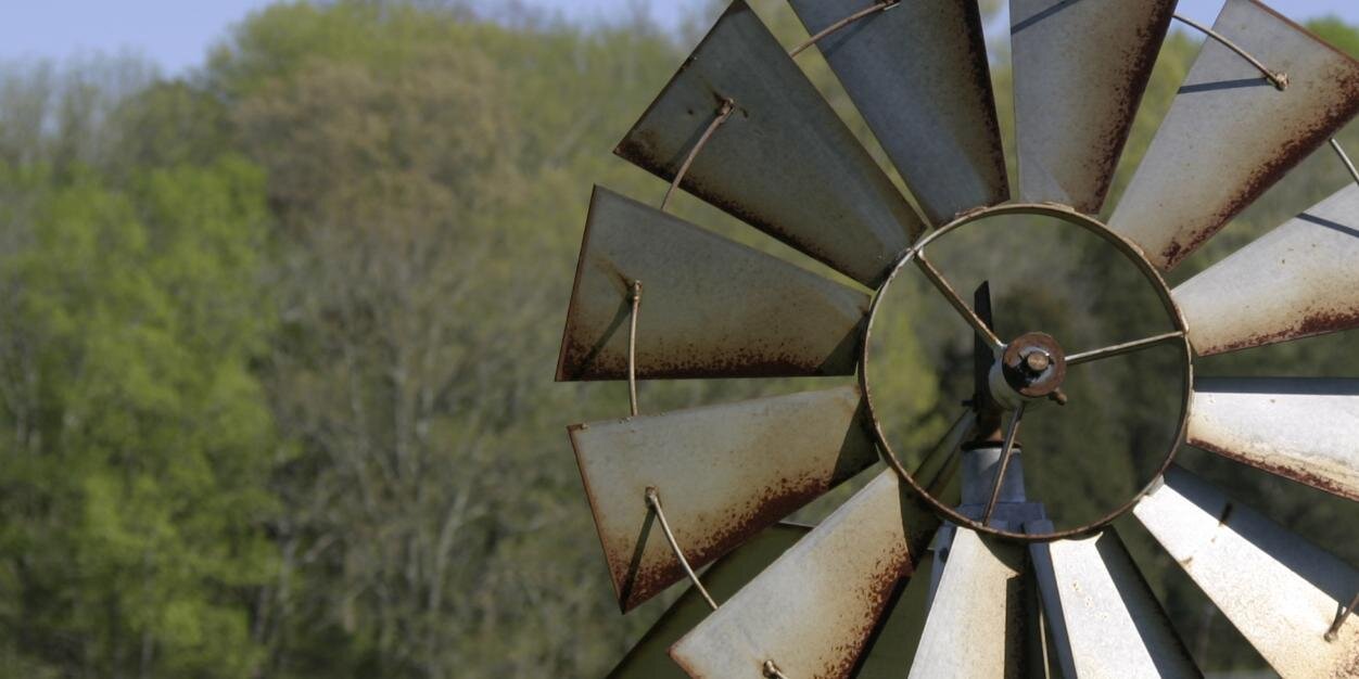 sea_shell's profile banner image