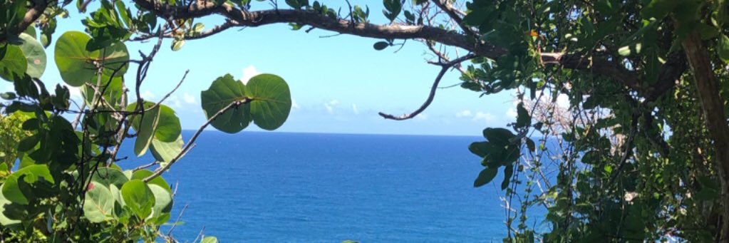 evelyna79's profile banner image