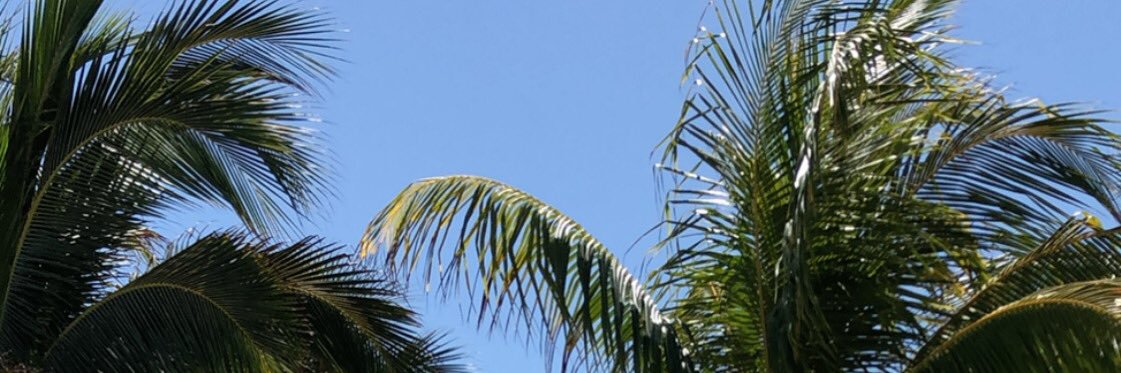 katiestephh's profile banner image
