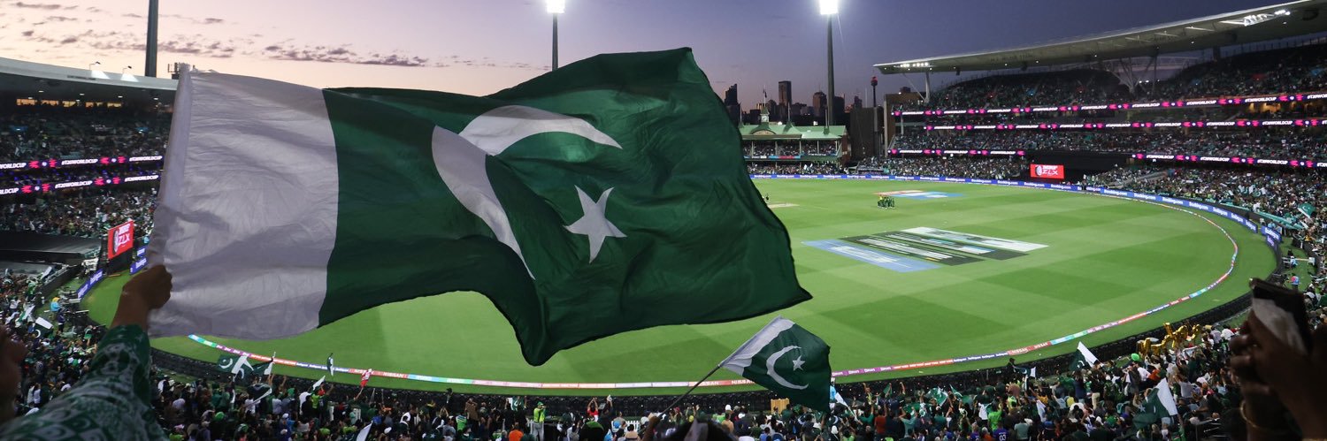 Mr Cricket banner