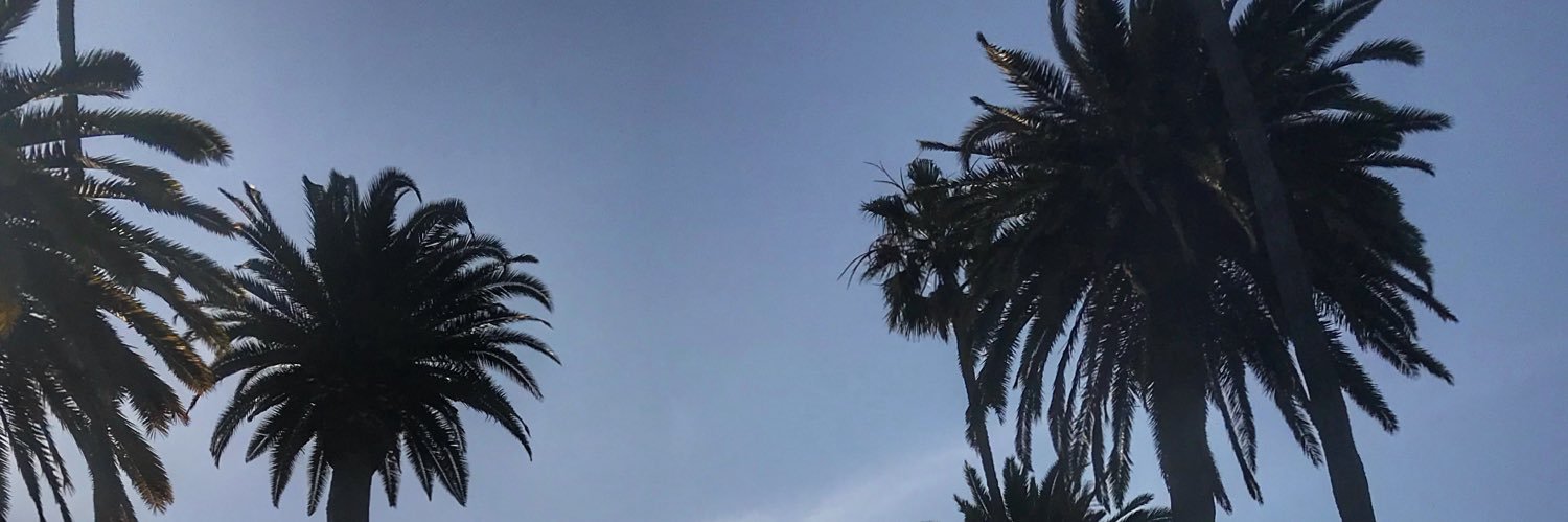 caroliciousy's profile banner image