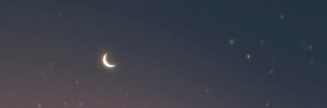 FlyingBabyBison's profile banner image