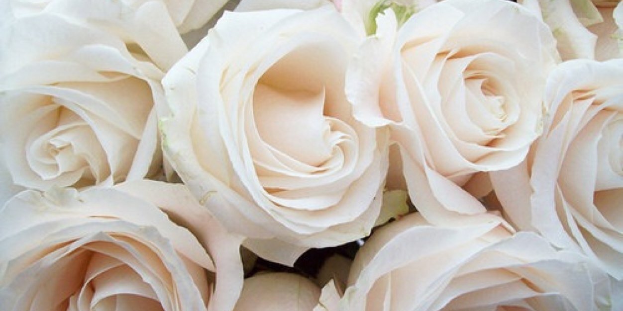 vale_manon's profile banner image