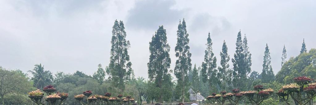 paklekmu's profile banner image