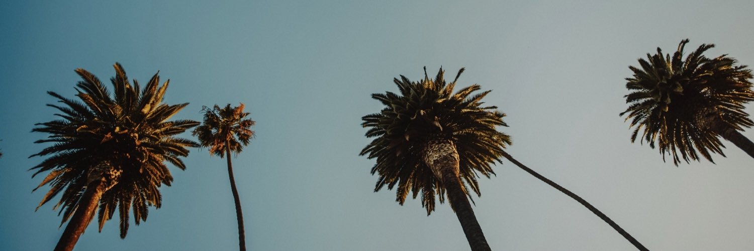 llyzmr's profile banner image