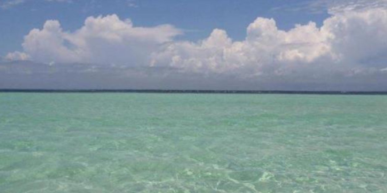 Kim Davis Isaac banner