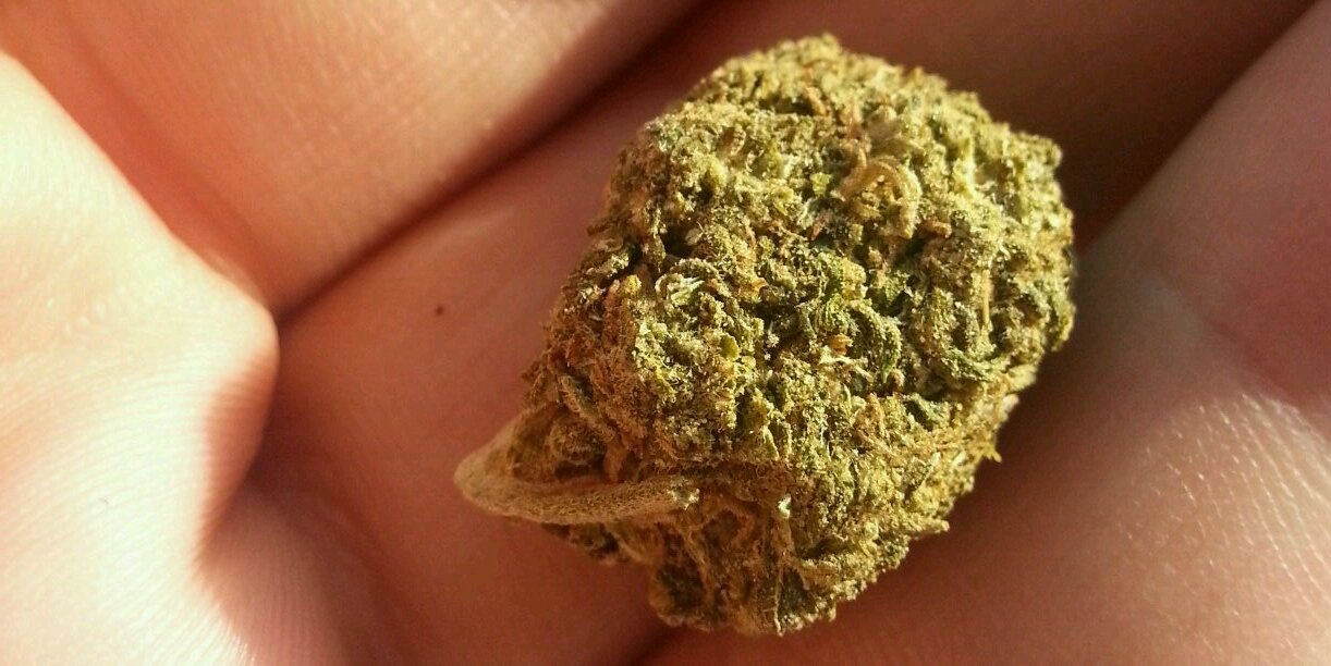 SpokenStoner710's profile banner image