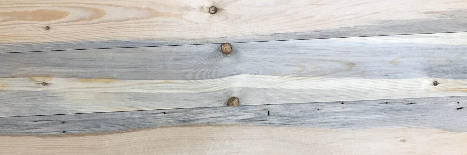 pinebeetle1's profile banner image