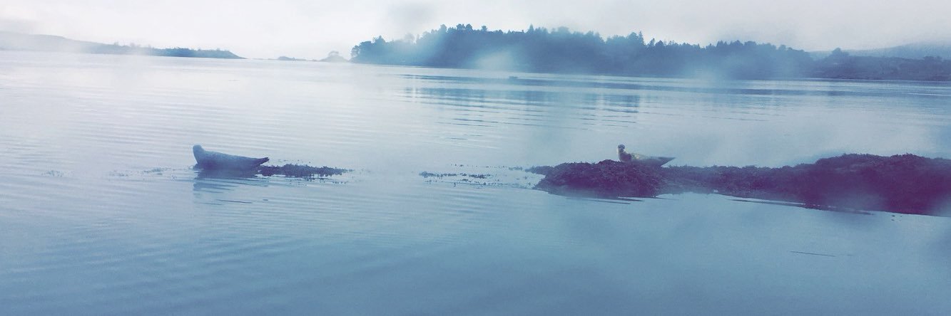 SarahCampbell94's profile banner image