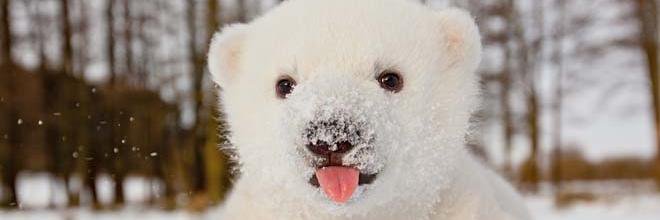 SarmientoJerms's profile banner image