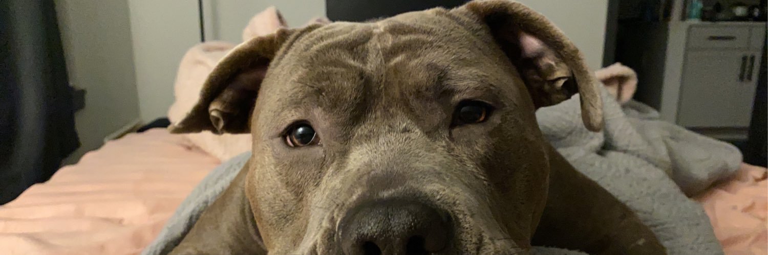 ItsSam_Jackson's profile banner image